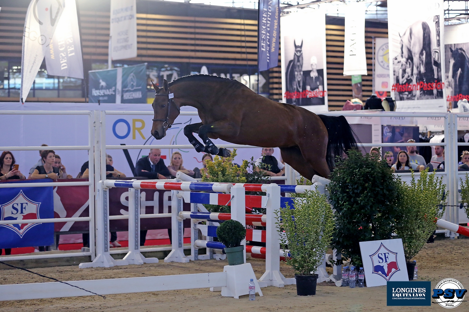 parade des races