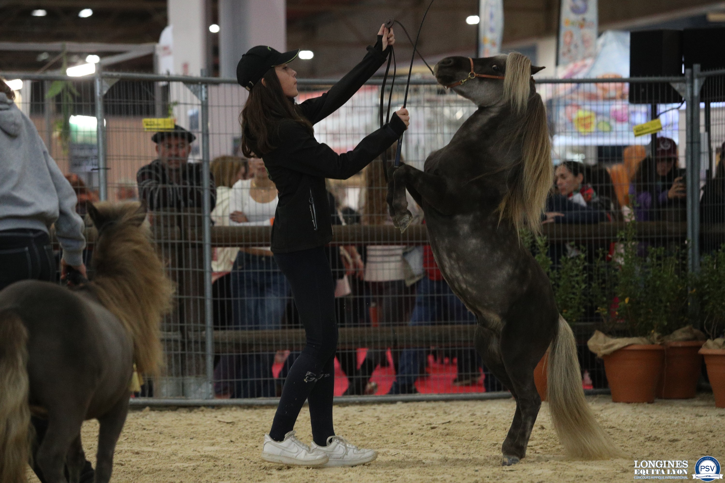 parade des races